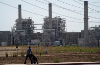 Trump’s EPA Plans to Ditch Emission Limits on Energy Vegetation