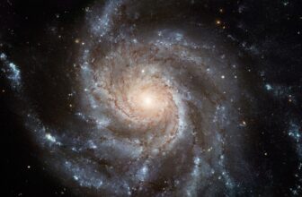 Does Gentle Touring By Area Put on Out?