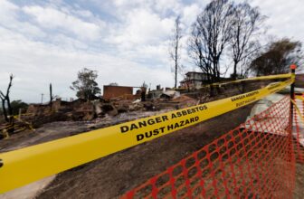 Trump EPA Might Undo Ban on Most cancers-Inflicting Asbestos