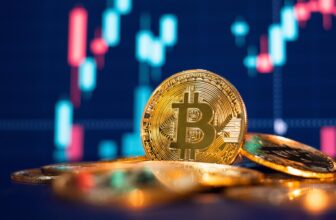 Bitcoin Hits New Highs Day by day, however Specialists Warn It is a ‘Disaster Mode’ Rally