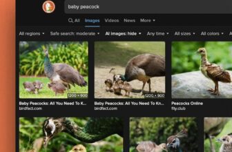DuckDuckGo now means that you can filter out AI photos in search outcomes