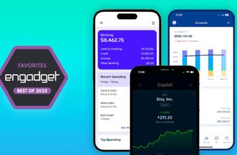 The most effective Mint alternate options