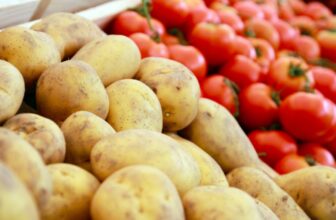 Potatoes Advanced From Tomatoes, Examine Reveals