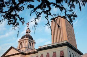 Florida is suing a number of porn firms over age verification