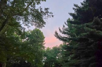 The Little Issues E-newsletter #484 – Life, laughter, and plenty of nice meals!