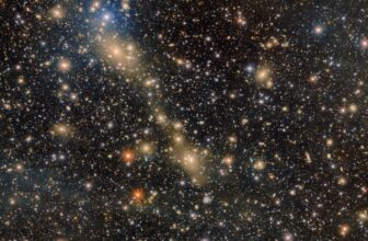 Deepest-Ever Area Picture of Large Galaxy Cluster Is a Brutal Reminder of Your Cosmic Insignificance