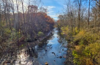 The Little Issues E-newsletter #497 – Life, laughter, and plenty of nice meals!