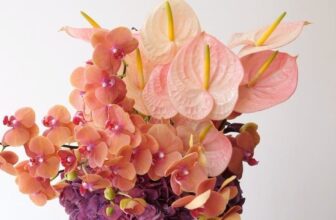 Floral Preparations – Shirley’s Wardrobe | Magnificence & Type Weblog